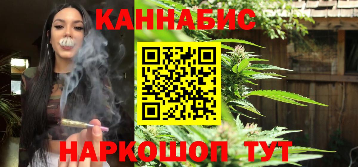 Бошки Шишки White Widow  Конопля AK-47  Конопля план  Вход с VPN  Конопля Ganja  Елец 